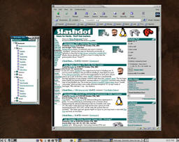 Undocked bEasy, using Netscape on Linux